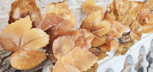 Load image into Gallery viewer, Old Maple Leaves 6ft Garland