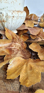 Old Maple Leaves 48" Stem/Spray/Branch Fall Bundle of 7 Aged Dried Leaves | Vintage Character