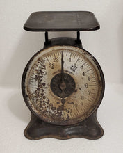 Load image into Gallery viewer, Antique Black Scale