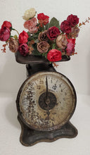 Load image into Gallery viewer, Antique Black Scale | Vintage Character