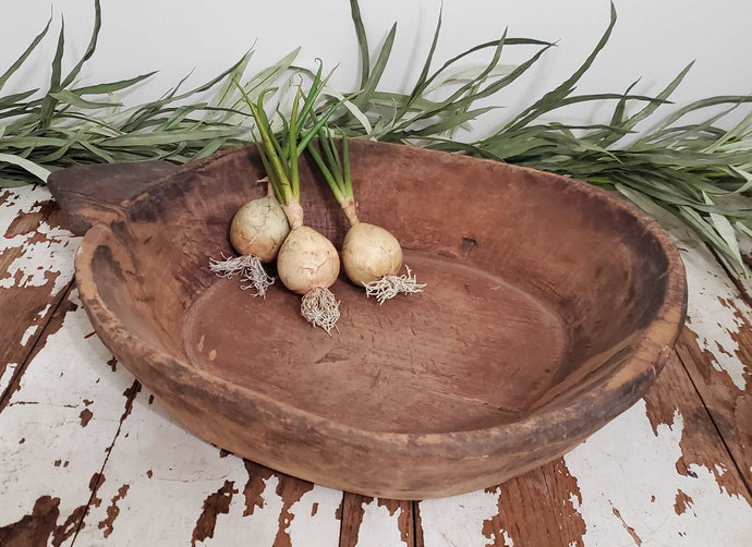 Antique X Large Round Wooden Dough Bowl | Vintage Character