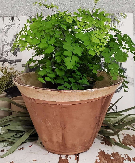 Hungarian Cottage Crafted Set of 3 Cream Bowls | Vintage Character