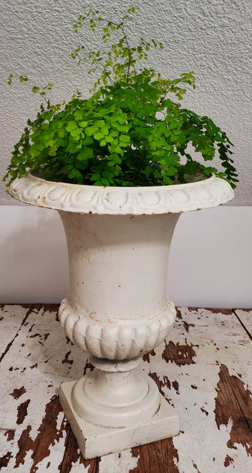 Antique 19th Century Cast Iron White Urn Planter | Vintage Character