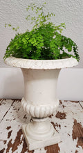 Load image into Gallery viewer, Antique 19th Century Cast Iron White Urn Planter | Vintage Character