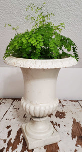 Antique 19th Century Cast Iron White Urn Planter | Vintage Character
