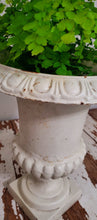Load image into Gallery viewer, Antique 19th Century Cast Iron White Urn Planter | Vintage Character