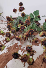 Load image into Gallery viewer, Wild Blackberry Stem | Vintage Character