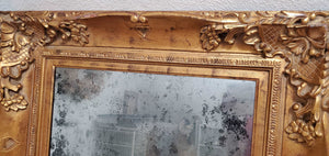 Antique Gold Ornate Mirrored Frame