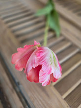 Load image into Gallery viewer, Faux Parrot Tulip ~ Pink