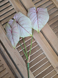 Faux Caladium Stem ~ Light Blush
