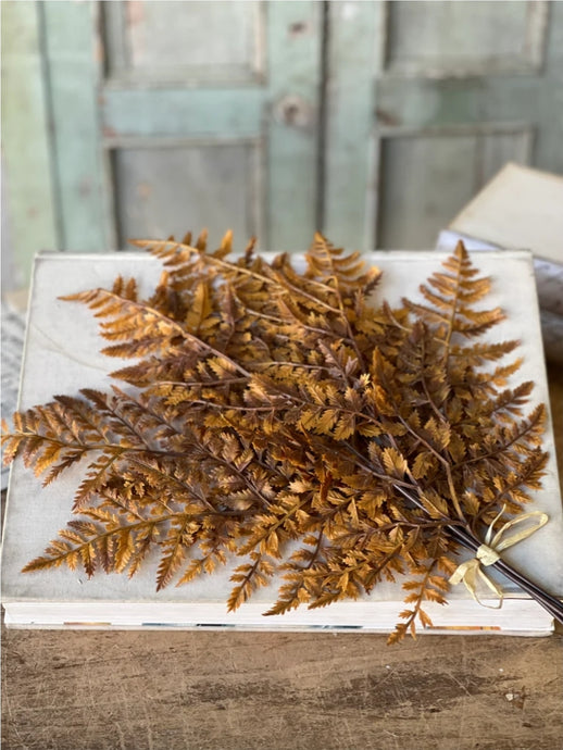 Fall Autumnal Fern Bundle ~ Cinnamon