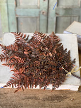Load image into Gallery viewer, Fall Autumnal Fern Bundle ~ Rust