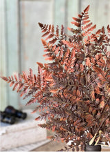 Load image into Gallery viewer, Fall Autumnal Fern Bundle ~ Rust