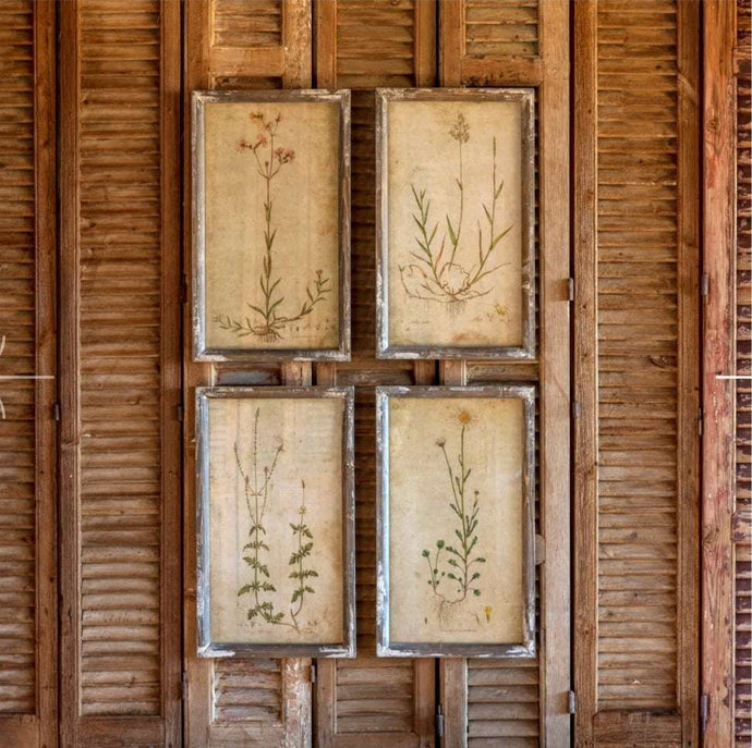 Field Flower Botanical Prints Set of 4 Framed