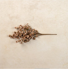 Load image into Gallery viewer, Brown &amp; White Daisy Bush ~22&quot;
