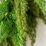 Christmas Cedar Pine 2 Toned Garland 6Ft