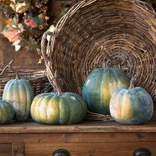 Load image into Gallery viewer, Early Green Heirloom Pumpkin Collection