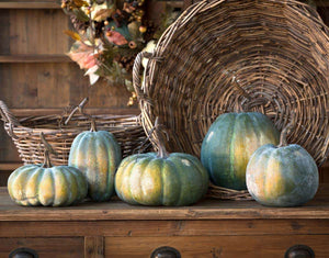 Early Green Heirloom Pumpkin Collection