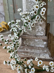 Fairchild Daisy Garland 6ft