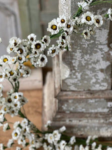 Fairchild Daisy Garland 6ft