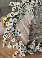 Load image into Gallery viewer, Fairchild Daisy Garland 6ft