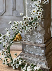 Fairchild Daisy Garland 6ft