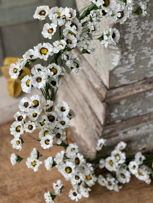 Fairchild Daisy Garland 6ft