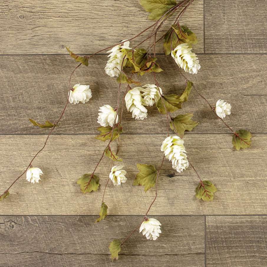 Cream Hops Stem  39