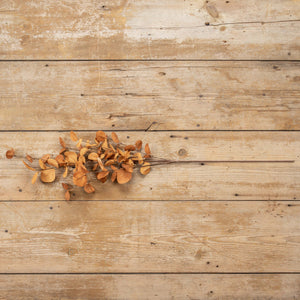 35" Rust Orange Eucalyptus Spray | Vintage Character