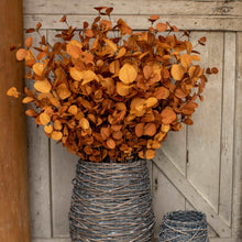 Load image into Gallery viewer, 35&quot; Rust Orange Eucalyptus Spray | Vintage Character