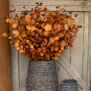 35" Rust Orange Eucalyptus Spray | Vintage Character