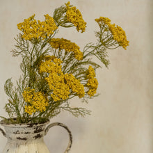 Load image into Gallery viewer, Yellow Queen Anne Lace Stem