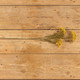 Load image into Gallery viewer, Yellow Queen Anne Lace Stem