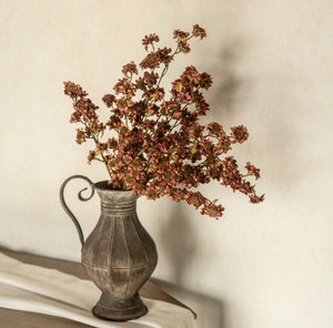 Maroon Daisy Bush ~22"