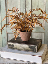 Load image into Gallery viewer, Fall Potted Autumn Fern ~ Cinnamon