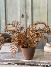 Load image into Gallery viewer, Fall Potted Autumn Fern ~ Cinnamon