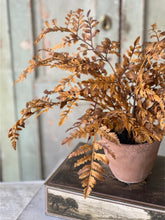 Load image into Gallery viewer, Fall Potted Autumn Fern ~ Cinnamon