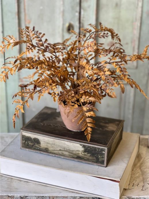 Fall Potted Autumn Fern ~ Cinnamon
