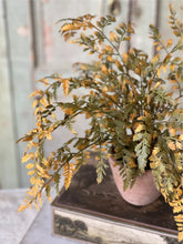 Load image into Gallery viewer, Fall Potted Autumn Fern ~ Moss