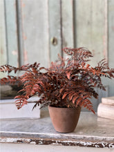 Load image into Gallery viewer, Fall Potted Autumn Fern ~ Rust