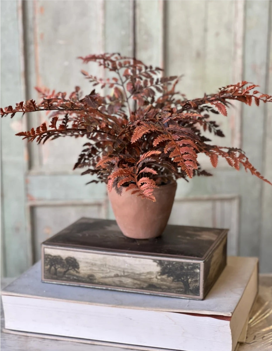 Fall Potted Autumn Fern ~ Rust