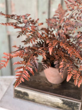 Load image into Gallery viewer, Fall Potted Autumn Fern ~ Rust
