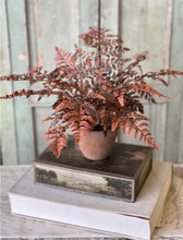 Load image into Gallery viewer, Fall Potted Autumn Fern ~ Rust