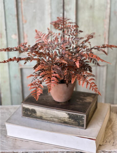 Fall Potted Autumn Fern ~ Rust