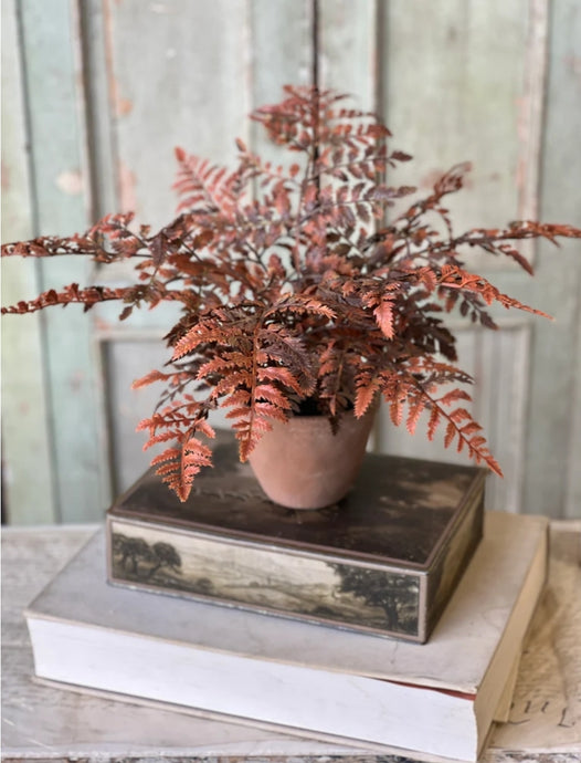 Fall Potted Autumn Fern ~ Rust