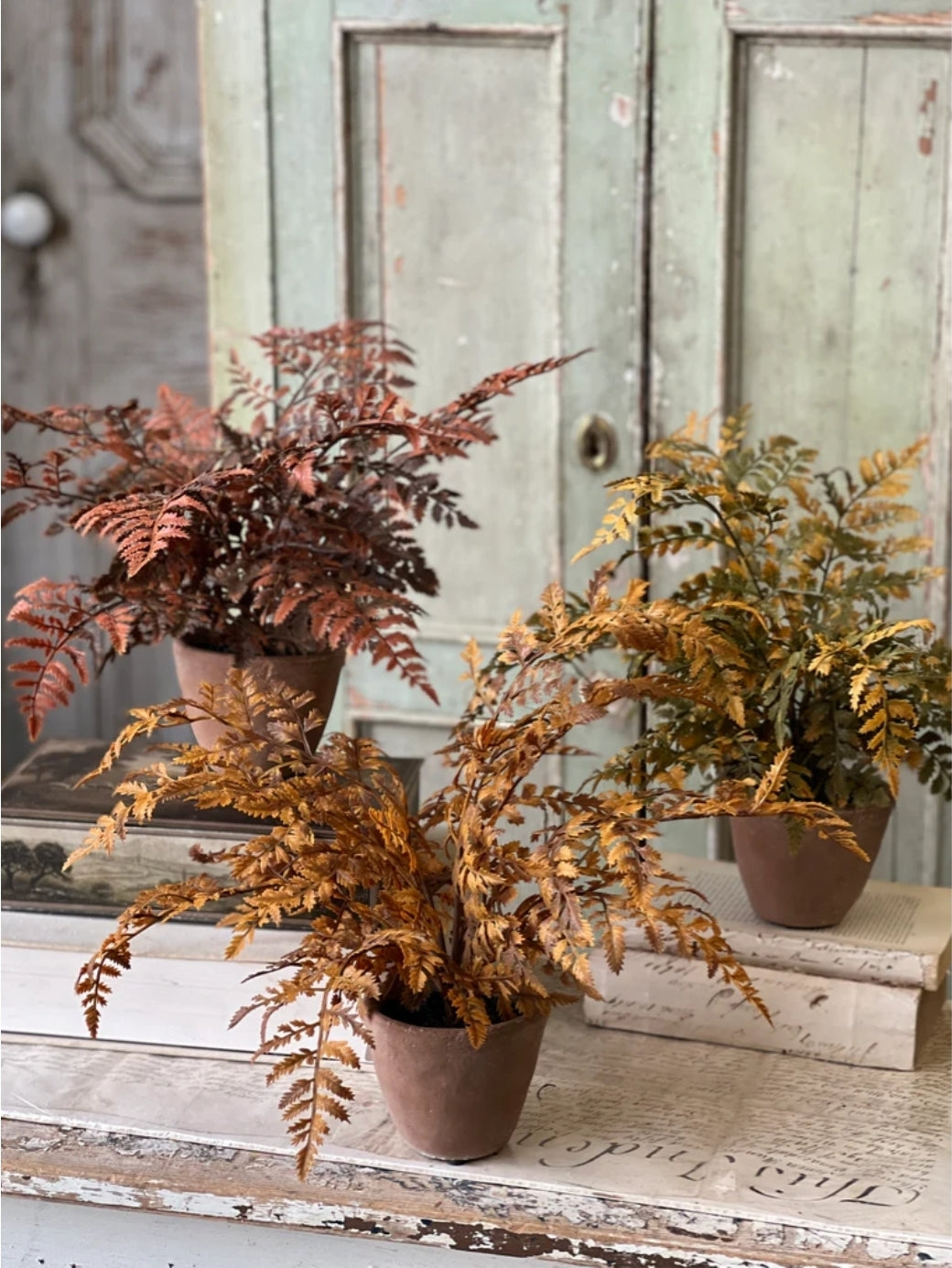 Fall Potted Autumn Fern ~ Rust