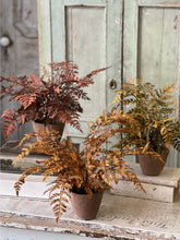 Load image into Gallery viewer, Fall Potted Autumn Fern ~ Rust
