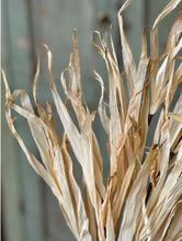 Load image into Gallery viewer, Fall Rye Grass ~ Cream