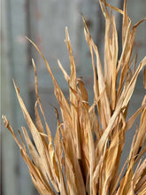 Load image into Gallery viewer, Fall Rye Grass ~ Yellow