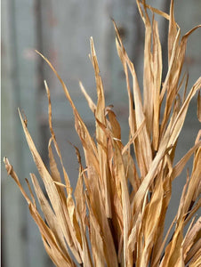 Fall Rye Grass ~ Yellow